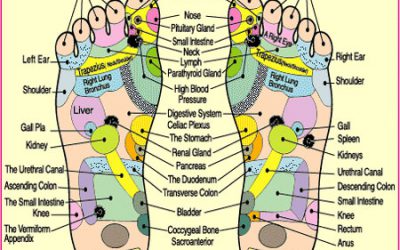 Ionic Detox Foot Spa