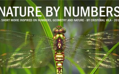 Nature By The Numbers